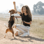 27 Common Dog Training Mistakes and How to Avoid Them