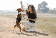 27 Common Dog Training Mistakes and How to Avoid Them 27 Common Dog Training Mistakes and How to Avoid Them