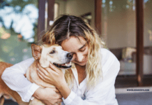 Keeping It Pawsitive: Pet-Friendly Hotels in Austin for Your Next Trip Keeping It Pawsitive: Pet-Friendly Hotels in Austin for Your Next Trip