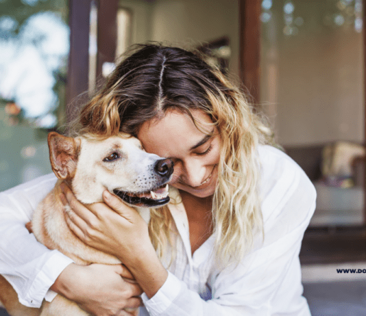Keeping It Pawsitive: Pet-Friendly Hotels in Austin for Your Next Trip Keeping It Pawsitive: Pet-Friendly Hotels in Austin for Your Next Trip