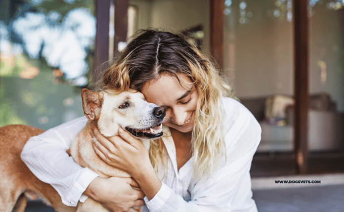 Keeping It Pawsitive: Pet-Friendly Hotels in Austin for Your Next Trip