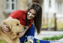 Five Mental Health Benefits of Having a Dog Five Mental Health Benefits of Having a Dog
