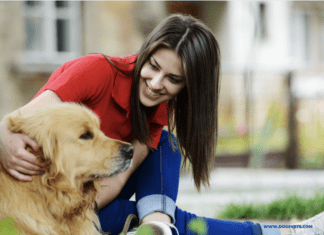 Five Mental Health Benefits of Having a Dog Five Mental Health Benefits of Having a Dog