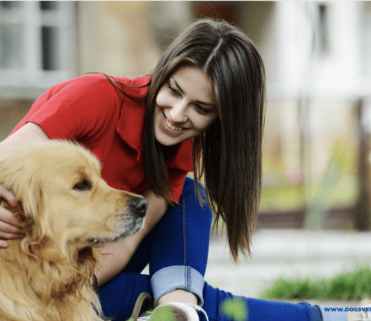 Five Mental Health Benefits of Having a Dog Five Mental Health Benefits of Having a Dog