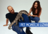 How to Care for a Pet Monitor Lizard How to Care for a Pet Monitor Lizard
