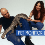 How to Care for a Pet Monitor Lizard