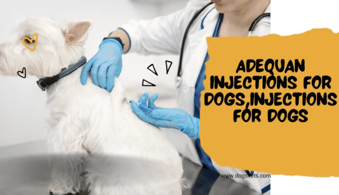 A Comprehensive Guide to Adequan Injections for Dogs