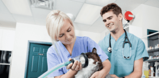 How Do I Reduce No-Shows at My Vet Clinic? How Do I Reduce No-Shows at My Vet Clinic?