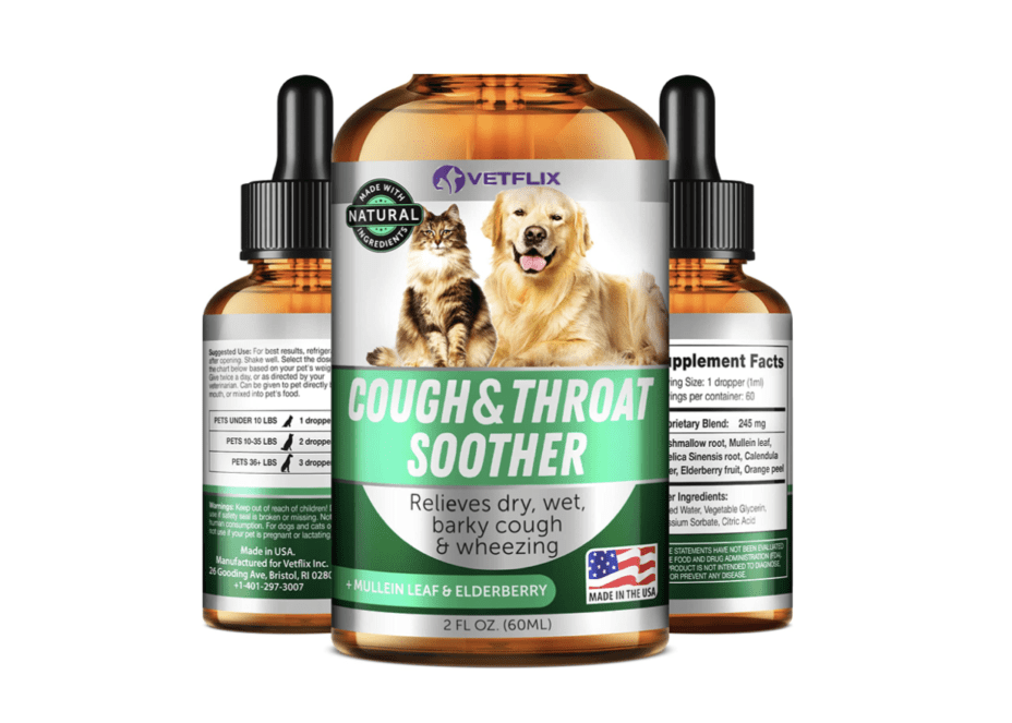 Understanding Kennel Cough Causes And Cures 2024