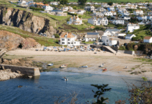 Teenager Falls From Cliff Attempting to Prevent Dog’s Rabbit Chase” Teenager Falls From Cliff Attempting to Prevent Dog's Rabbit Chase"