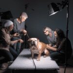 Scientific Evidence Affirms Dog's Ability to Sense Bad People 