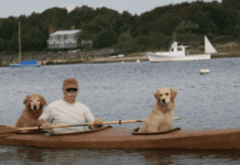 Man Builds a Custom Kayak to Share Aquatic Adventures with His Two Dogs” Man Builds a Custom Kayak to Share Aquatic Adventures with His Two Dogs"