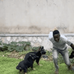 Teenager SCREAMS Running from Adorable Puppy Mob! (FUNNY TikTok)” Teenager Screaming While Being Chased by Puppies" TikTok Video