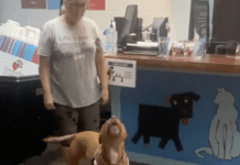 Shelter dog howls with joy after adoption” After Waiting for 1,250 Days Shelter dog howls with joy after adoption" After Waiting for 1,250 Days