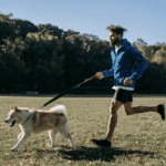 7 Enrichment Ideas to Keep Your Dogs Pawsitively Happy 7 Enrichment Ideas to Keep Your Dogs Pawsitively Happy