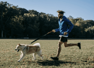 7 Enrichment Ideas to Keep Your Dogs Pawsitively Happy 7 Enrichment Ideas to Keep Your Dogs Pawsitively Happy