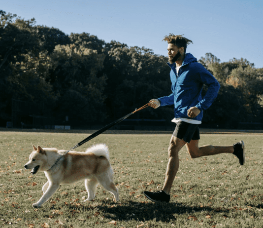 7 Enrichment Ideas to Keep Your Dogs Pawsitively Happy 7 Enrichment Ideas to Keep Your Dogs Pawsitively Happy