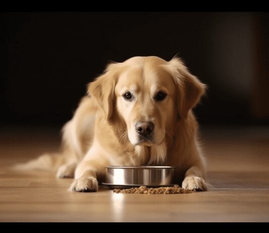 Tips for Choosing the Right Dog Food: A Guide for Pet Owners Tips for Choosing the Right Dog Food: A Guide for Pet Owners