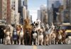 Types of Dogs: A Comprehensive Look at Dog Breeds Around the World