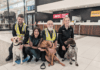 Tasmania Bolsters Border Security with Highly Trained Detector Dogs Tasmania Bolsters Border Security with Highly Trained Detector Dogs