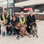 Tasmania Bolsters Border Security with Highly Trained Detector Dogs