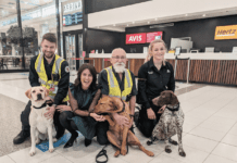 Tasmania Bolsters Border Security with Highly Trained Detector Dogs Tasmania Bolsters Border Security with Highly Trained Detector Dogs