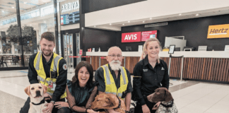 Tasmania Bolsters Border Security with Highly Trained Detector Dogs Tasmania Bolsters Border Security with Highly Trained Detector Dogs