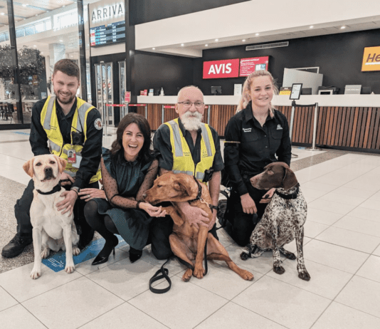 Tasmania Bolsters Border Security with Highly Trained Detector Dogs Tasmania Bolsters Border Security with Highly Trained Detector Dogs