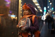 What Type of Carrier Do Cats Prefer? What Type of Carrier Do Cats Prefer?