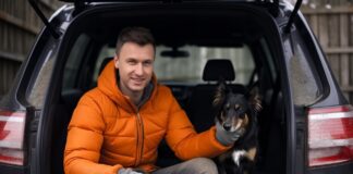 Dog Hair Removal in Cars: The Ultimate Guide Dog Hair Removal in Cars: The Ultimate Guide