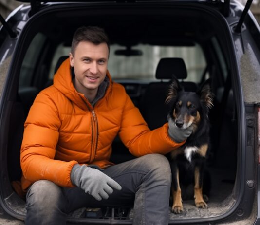 Dog Hair Removal in Cars: The Ultimate Guide Dog Hair Removal in Cars: The Ultimate Guide