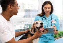 10 Most Common Animal Diseases Caused by Bacterial or Viral Infections 10 Most Common Animal Diseases Caused by Bacterial or Viral Infections