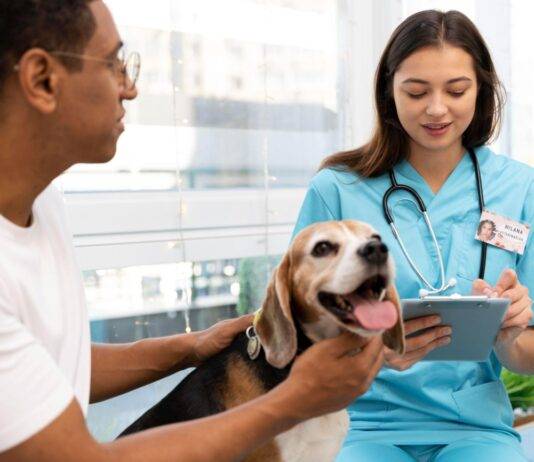 10 Most Common Animal Diseases Caused by Bacterial or Viral Infections 10 Most Common Animal Diseases Caused by Bacterial or Viral Infections