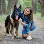 How To Train a German Shepherd how to train a german shepherd, german shepherd