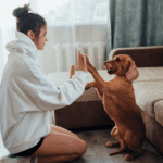 7 Things Dogs Hate About Humans