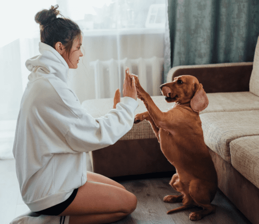 7 Things Dogs Hate About Humans 7 Things Dogs Hate About Humans