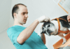 How to Care for Your Injured Dog