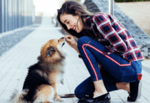 Snap or Treat? Are Dogs More Cooperative in Photos When There Are Treats Involved? Snap or Treat? Are Dogs More Cooperative in Photos When There Are Treats Involved?