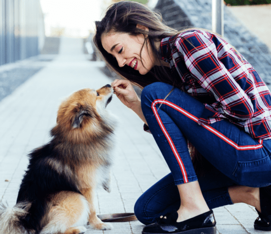 Snap or Treat? Are Dogs More Cooperative in Photos When There Are Treats Involved? Snap or Treat? Are Dogs More Cooperative in Photos When There Are Treats Involved?
