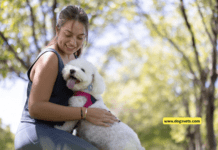 18 Surprising Dog Facts You Probably Didn’t Know 18 Surprising Dog Facts You Probably Didn't Know