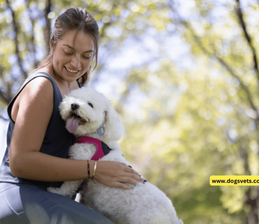 18 Surprising Dog Facts You Probably Didn’t Know 18 Surprising Dog Facts You Probably Didn't Know