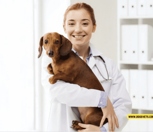 The Benefits of Therapy Dogs in Education The Benefits of Therapy Dogs in Education