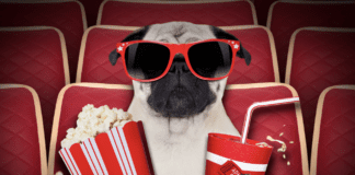 5 Dog-Related Shows on YouTube TV 5 Dog-Related Shows on YouTube TV