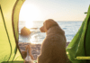 Dog-Friendly Travel Destinations: Unleash Your Adventures Dog-Friendly Travel Destinations: Unleash Your Adventures