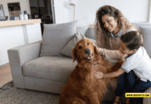 How to Introduce a New Dog to Your Home – 7 Tips to Know How to Introduce a New Dog to Your Home