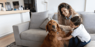How to Introduce a New Dog to Your Home – 7 Tips to Know How to Introduce a New Dog to Your Home