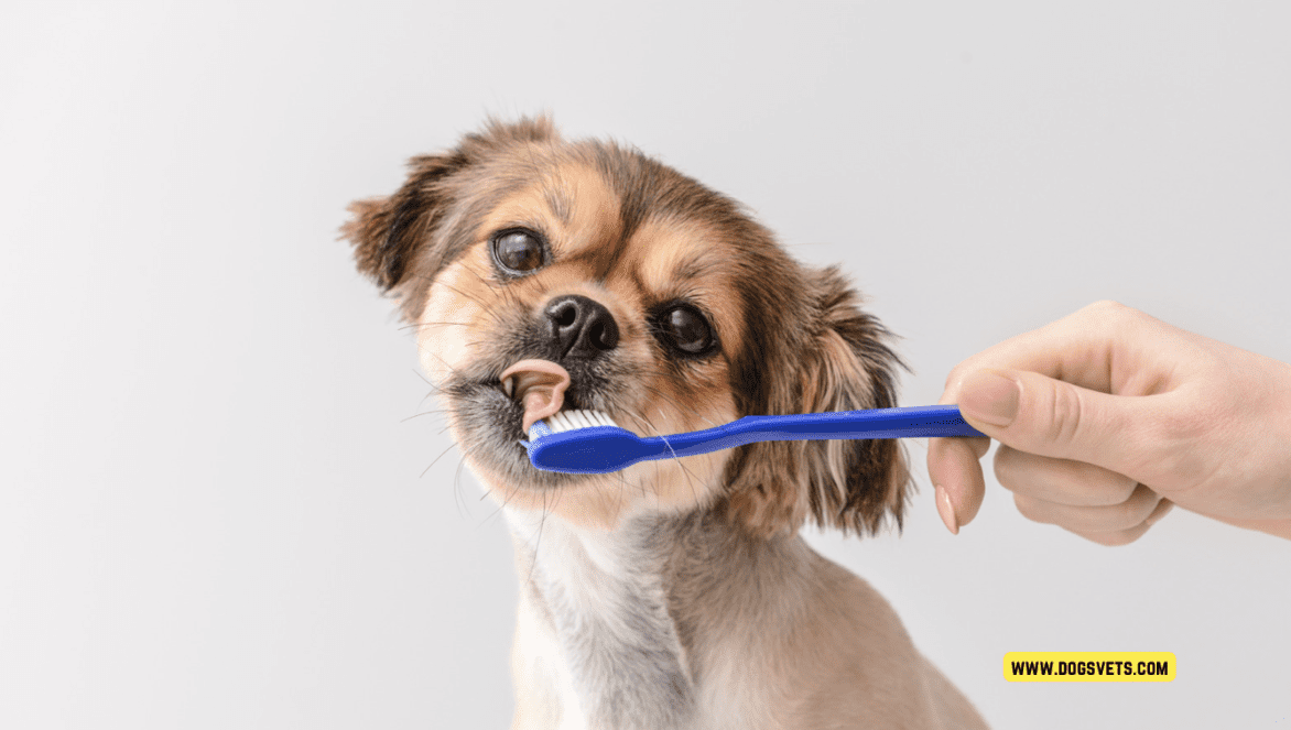 How to Properly Brush Your Dog's Teeth for Optimal Oral Health