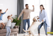 Who Let the Dogs Out: The Mystery Behind this Catchy Anthem Who Let the Dogs Out: The Mystery Behind this Catchy Anthem