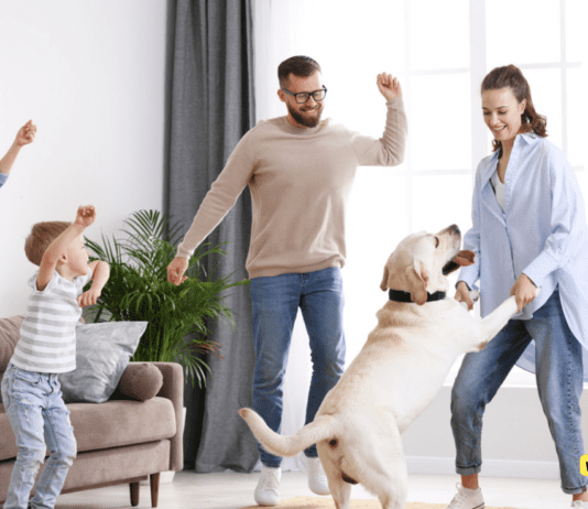 Who Let the Dogs Out: The Mystery Behind this Catchy Anthem Who Let the Dogs Out: The Mystery Behind this Catchy Anthem