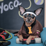 Pet Yoga: The Physical and Mental Benefits for Your Furry Friend